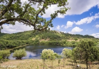 Riserva Naturale Bosco Della Ficuzza Info Utili Cosa Vedere Ed