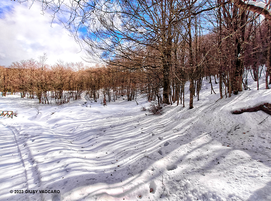 Nebrodi neve