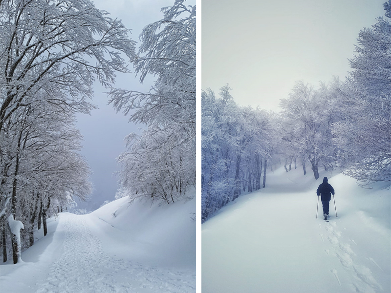 Piano Battaglia Neve